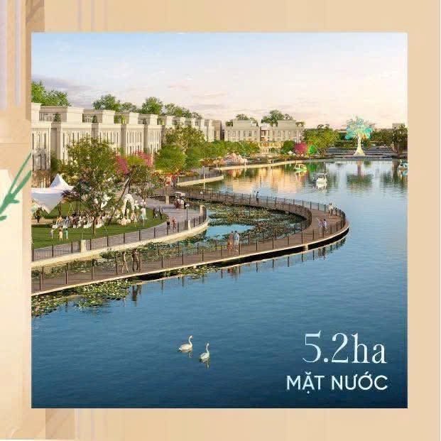 The Swan Lake - 5.2ha